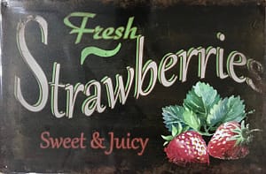 Fém Retro Tábla “Sweet &Juicy”