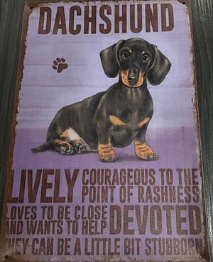 Fém Retro Tábla “Lively”