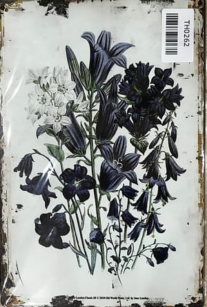 Fém Retro Tábla “Encián “