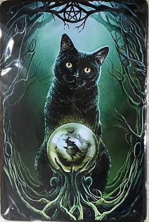 Fém Retro Tábla “Cica józsdája”