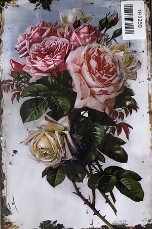 Fém Retro Tábla “Rózsa” Th0259