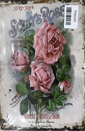 Fém Retro Tábla “ Scott’s Rose”